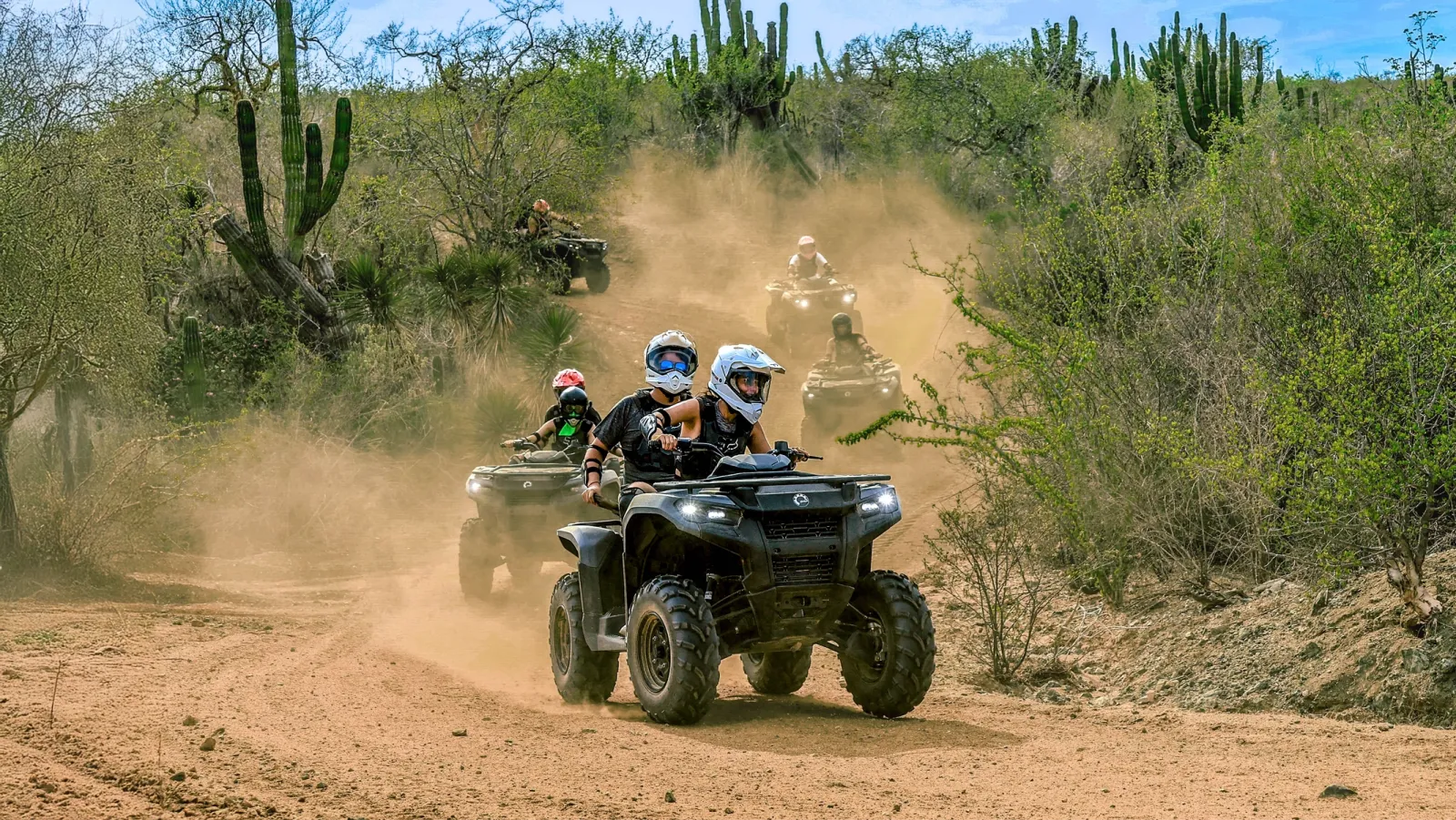 A group of ATV riders navigates a dusty desert trail surrounded by tall cacti and dense brush under a clear blue sky.