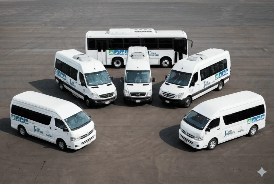 Cabo Adventures transportation fleet parked and ready for guest pickup in Los Cabos